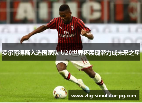 费尔南德斯入选国家队 U20世界杯展现潜力成未来之星